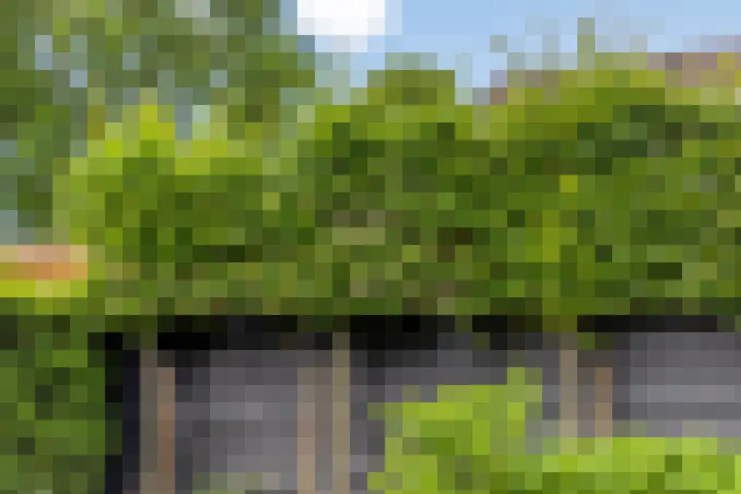 Braamkamp 542 Zutphen thumbnail 43