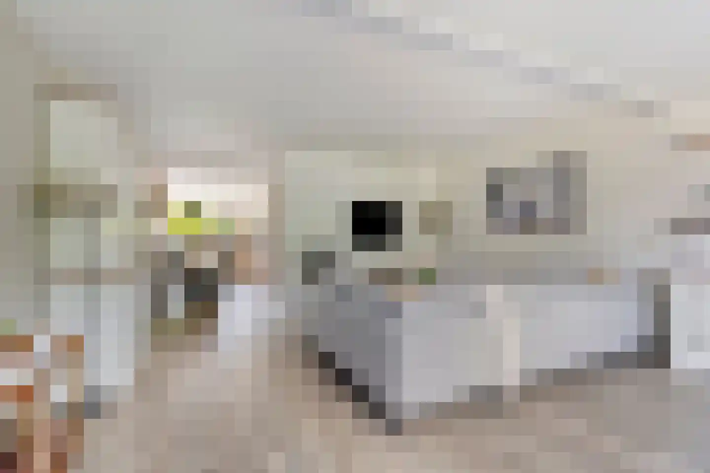 Braamkamp 542 Zutphen thumbnail 9