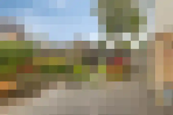 Braamkamp 546 Zutphen thumbnail 27