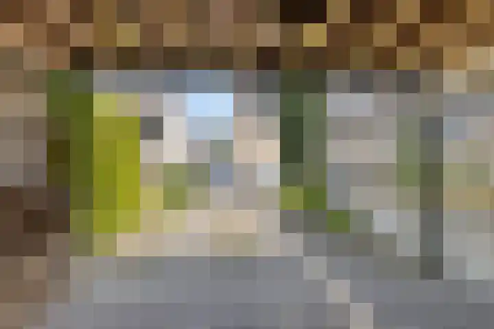 Braamkamp 553 Zutphen thumbnail 5