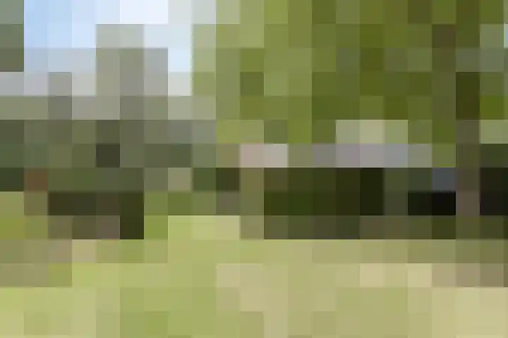 Braamkamp 553 Zutphen thumbnail 51