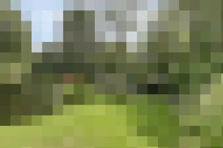 Braamkamp 553 Zutphen thumbnail 54