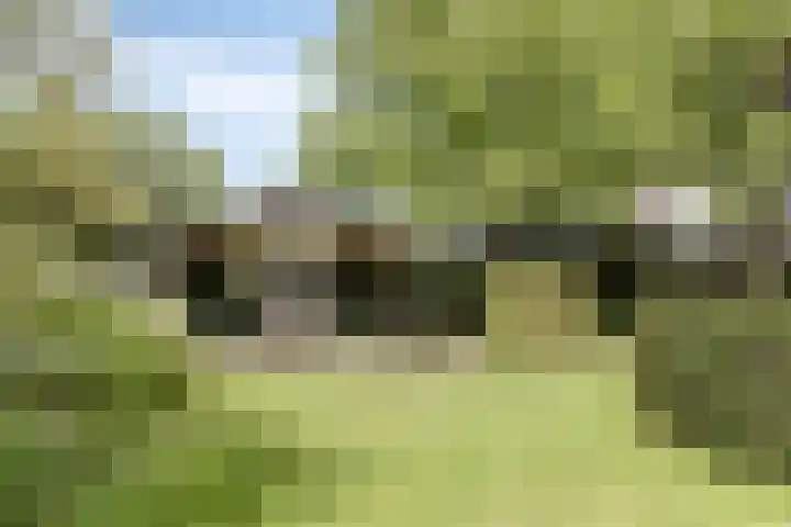 Braamkamp 553 Zutphen thumbnail 55