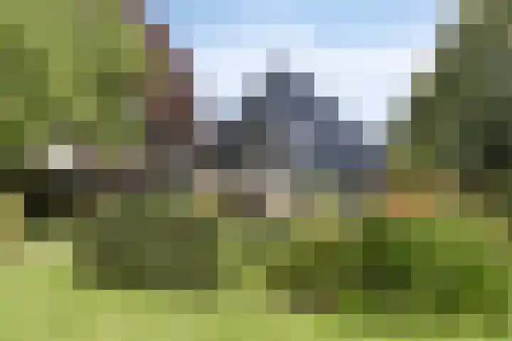 Braamkamp 553 Zutphen thumbnail 56