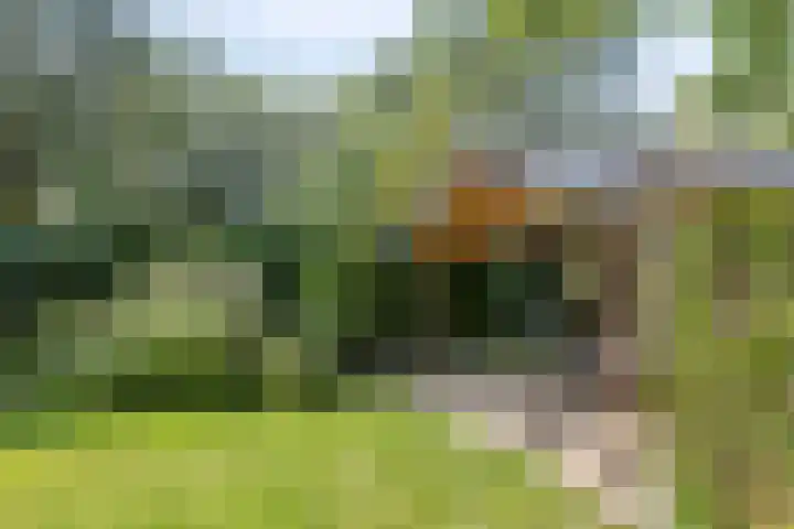 Braamkamp 553 Zutphen thumbnail 57