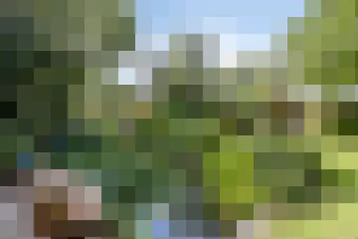 Braamkamp 553 Zutphen thumbnail 58