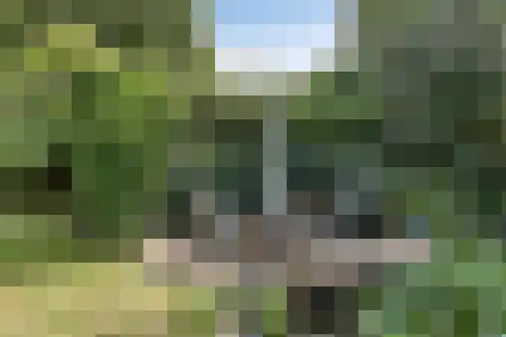 Braamkamp 553 Zutphen thumbnail 60