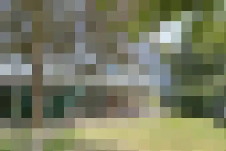 Braamkamp 553 Zutphen thumbnail 61