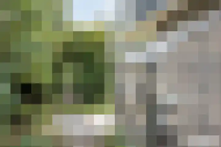 Braamkamp 553 Zutphen thumbnail 64