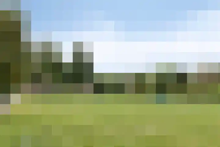 Braamkamp 553 Zutphen thumbnail 65