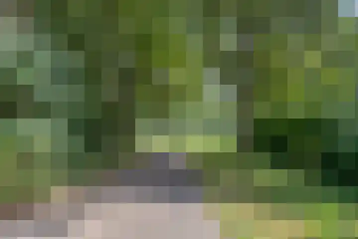 Braamkamp 553 Zutphen thumbnail 66