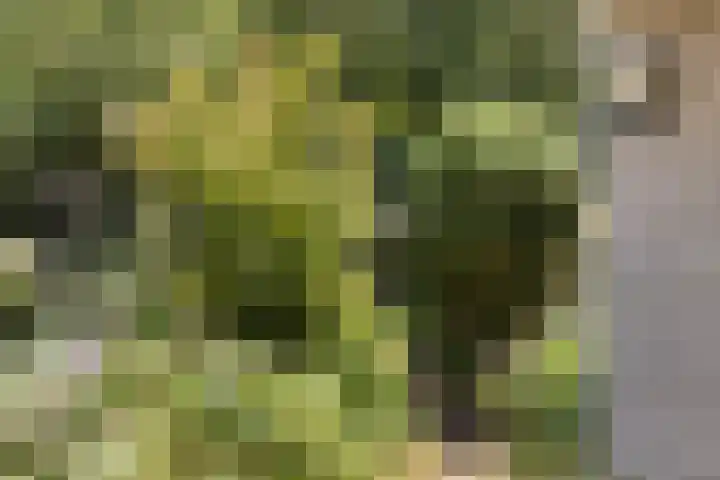 Braamkamp 553 Zutphen thumbnail 7