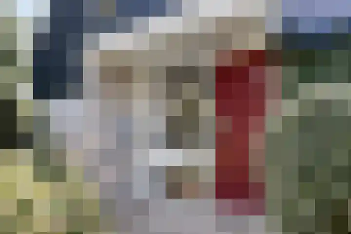 Braamkamp 553 Zutphen thumbnail 8