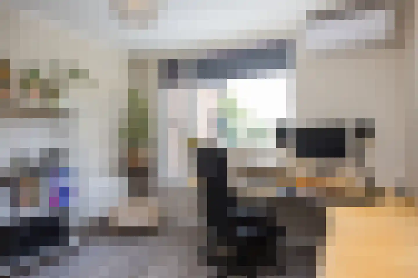 Braamkamp 60 Zutphen thumbnail 12