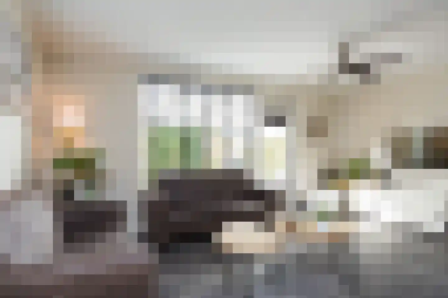 Braamkamp 60 Zutphen thumbnail 17