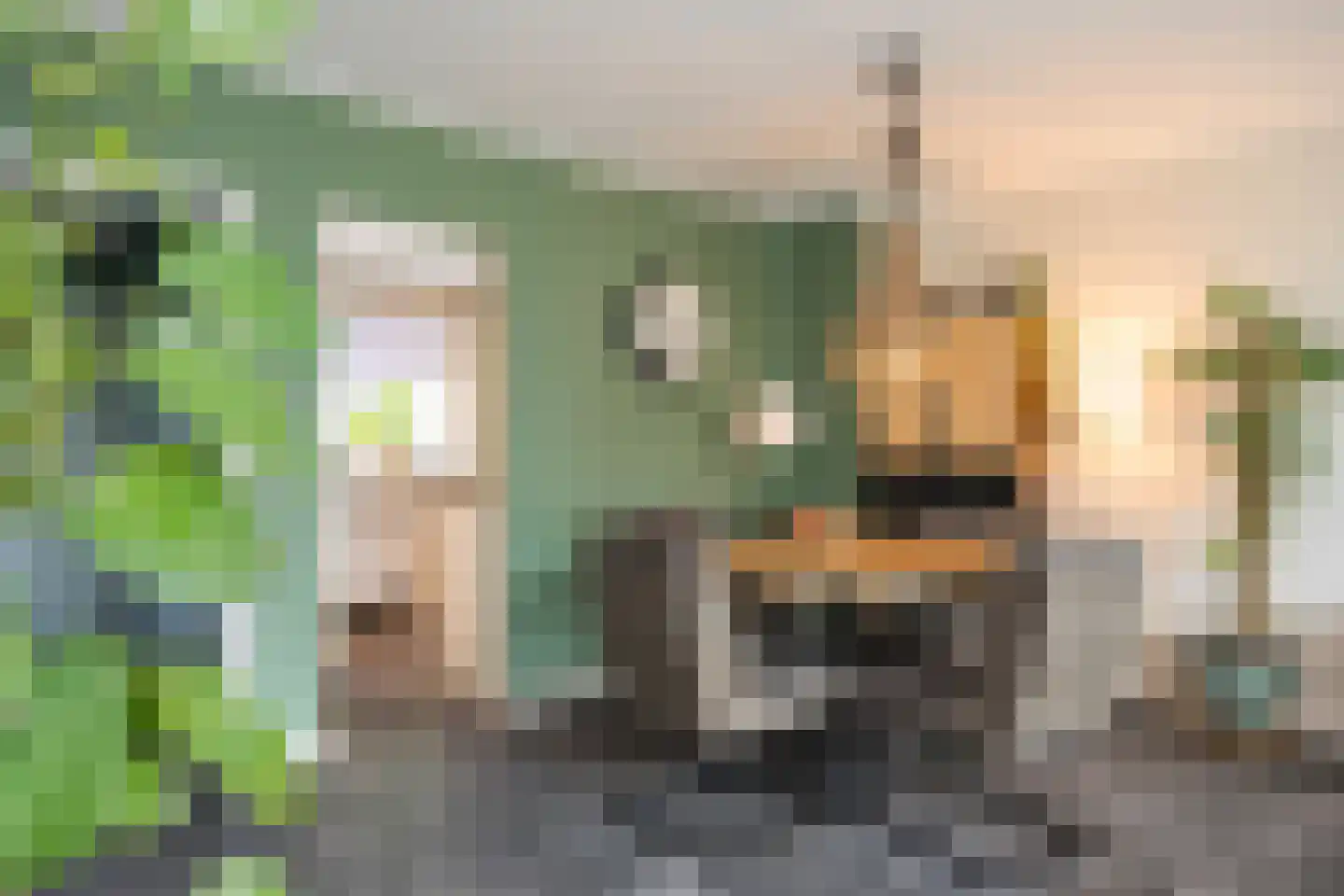 Braamkamp 60 Zutphen thumbnail 19