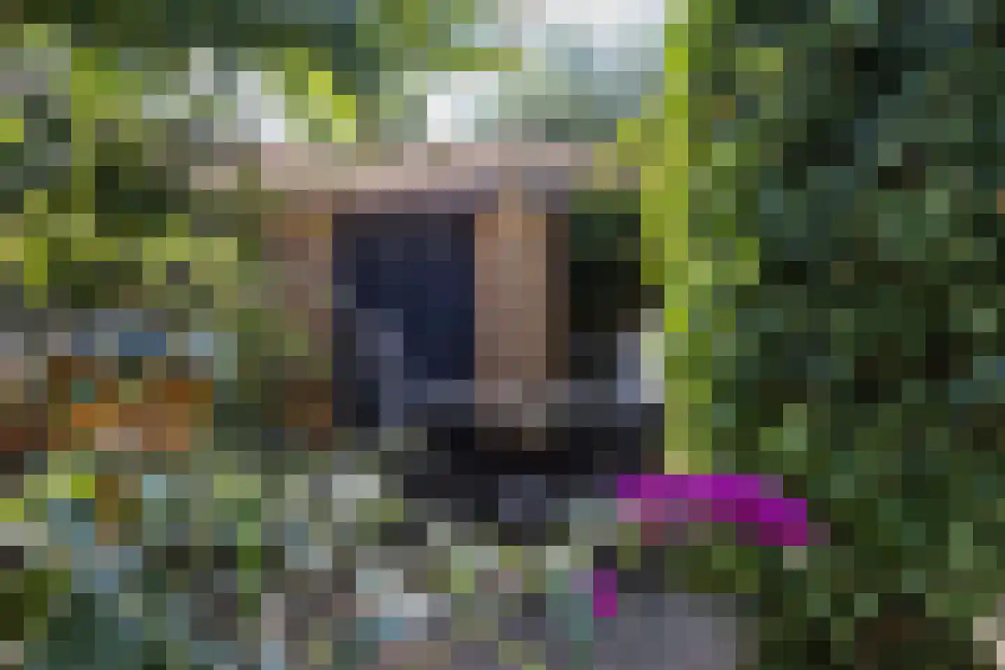 Braamkamp 60 Zutphen thumbnail 34