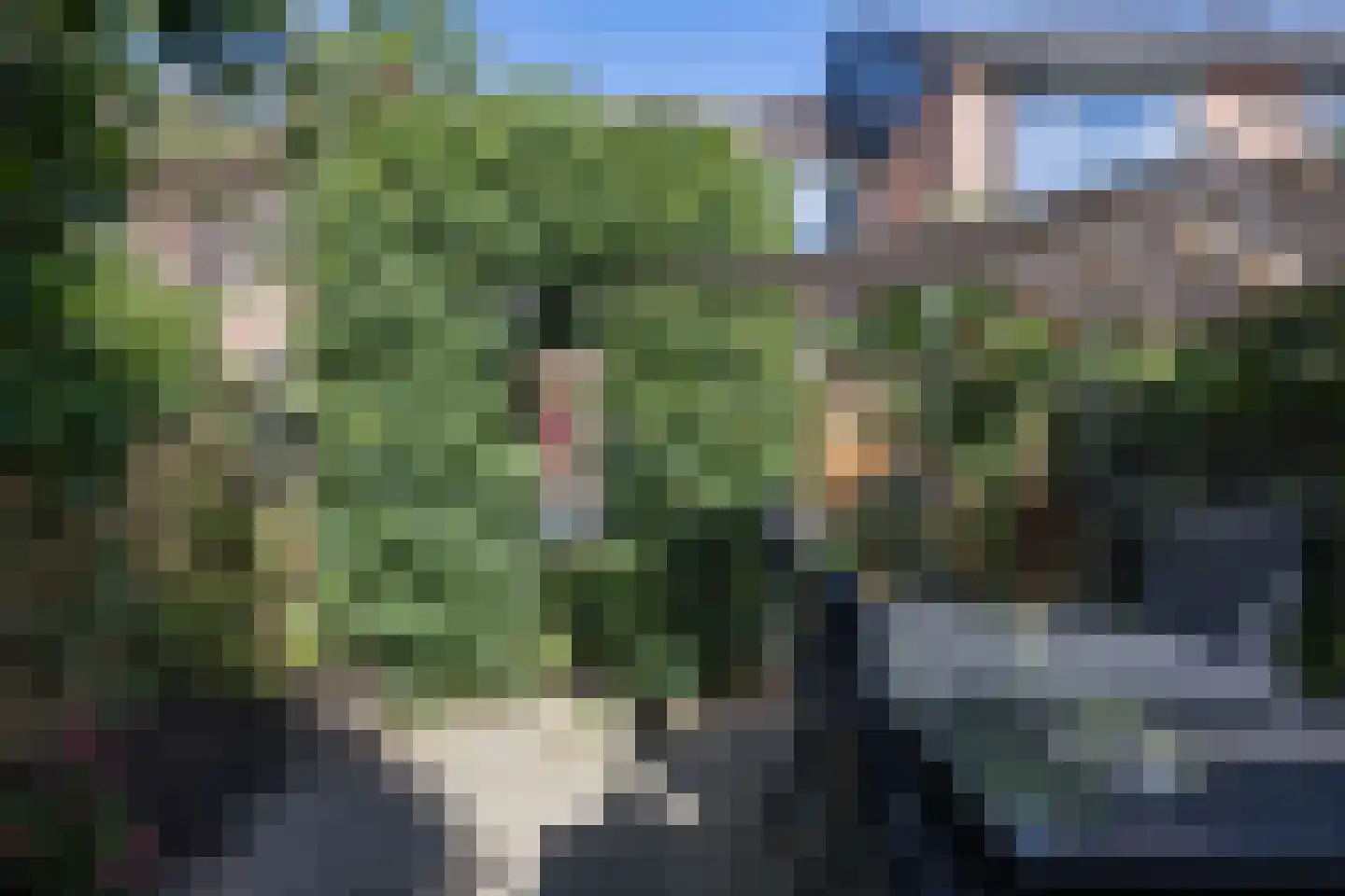 Braamkamp 60 Zutphen thumbnail 35