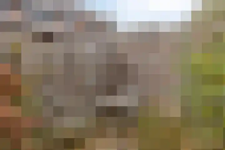 Braamkamp 86 Zutphen thumbnail 28