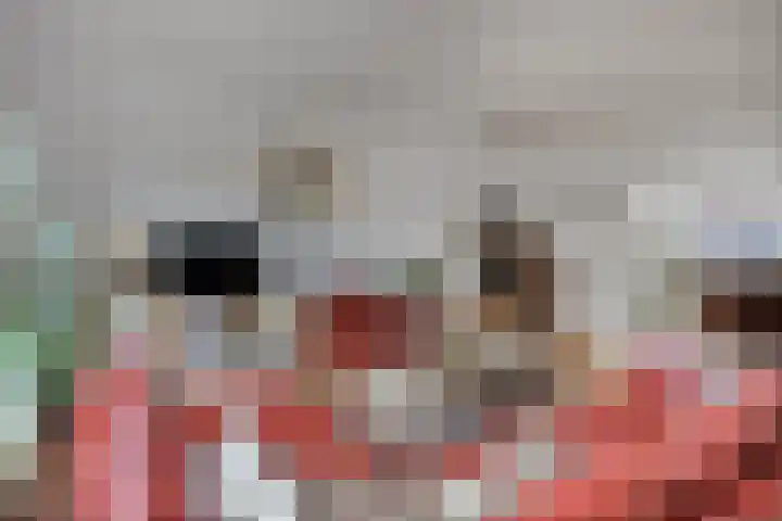 Braamkamp 86 Zutphen thumbnail 5
