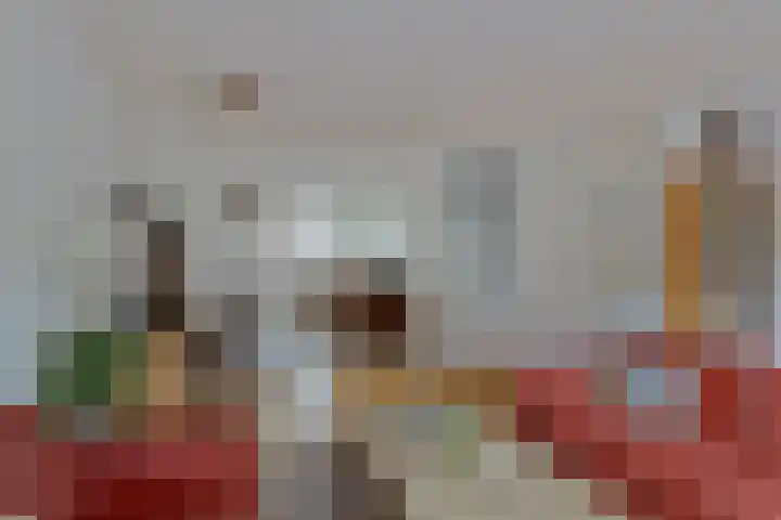 Braamkamp 86 Zutphen thumbnail 6