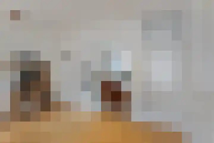 Braamkamp 86 Zutphen thumbnail 8