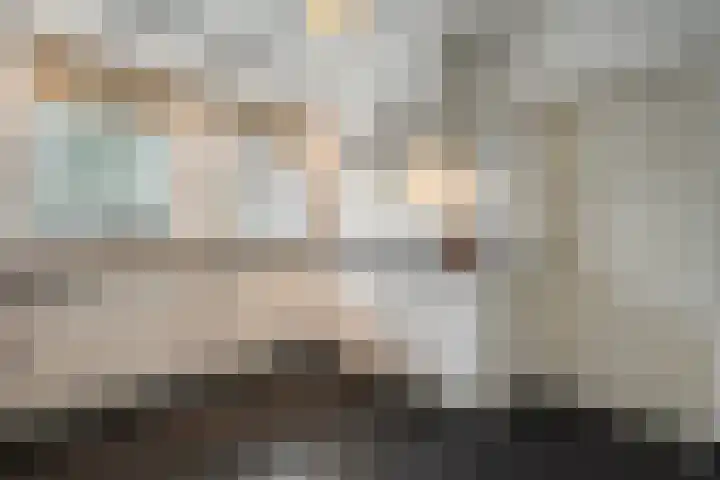 Braamskamp 13 Zuidwolde thumbnail 21