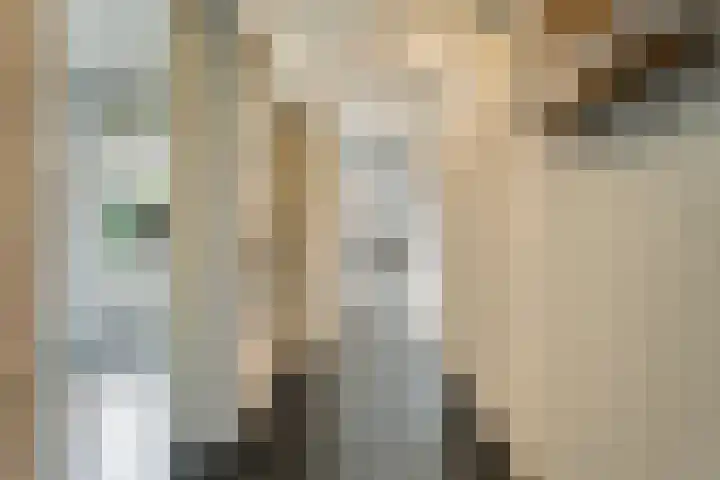 Braamskamp 13 Zuidwolde thumbnail 30