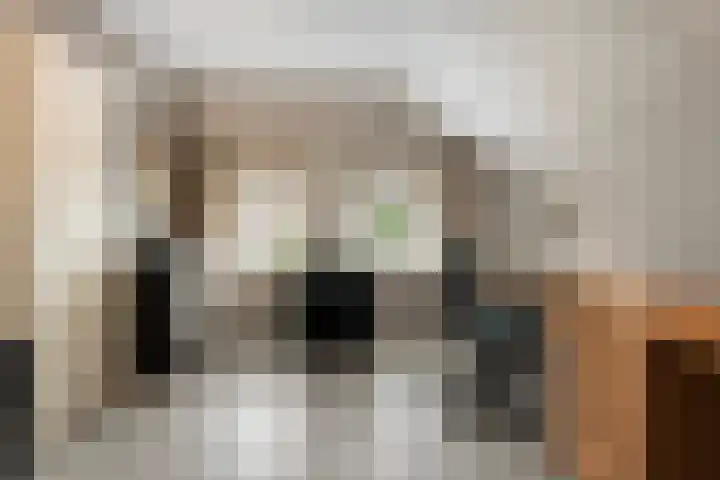 Braamskamp 13 Zuidwolde thumbnail 33