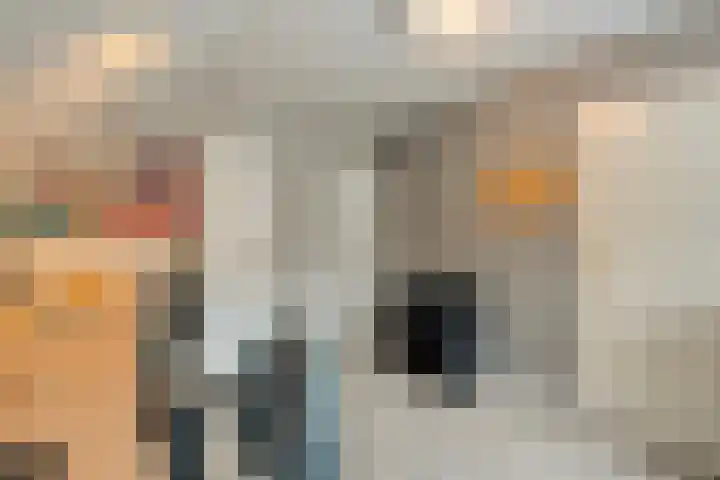 Braamskamp 13 Zuidwolde thumbnail 34