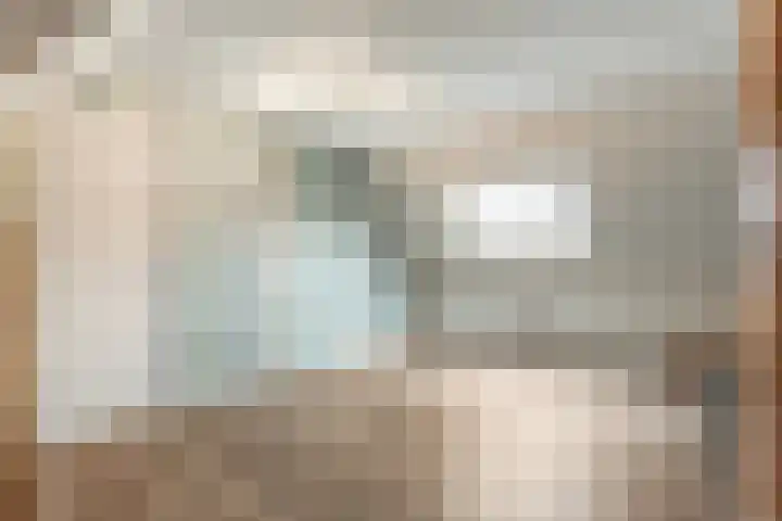 Braamskamp 13 Zuidwolde thumbnail 40