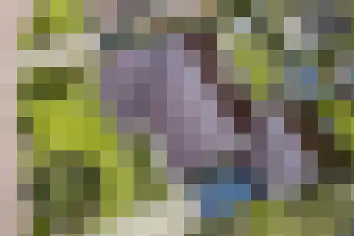 Braamskamp 13 Zuidwolde thumbnail 5