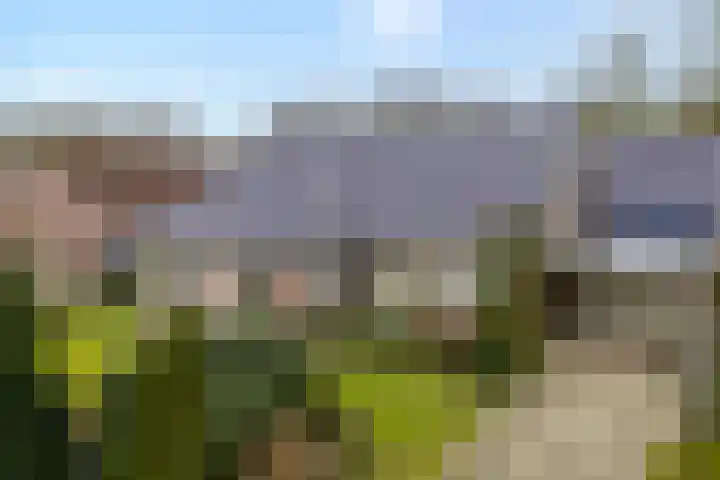 Braamskamp 13 Zuidwolde thumbnail 51