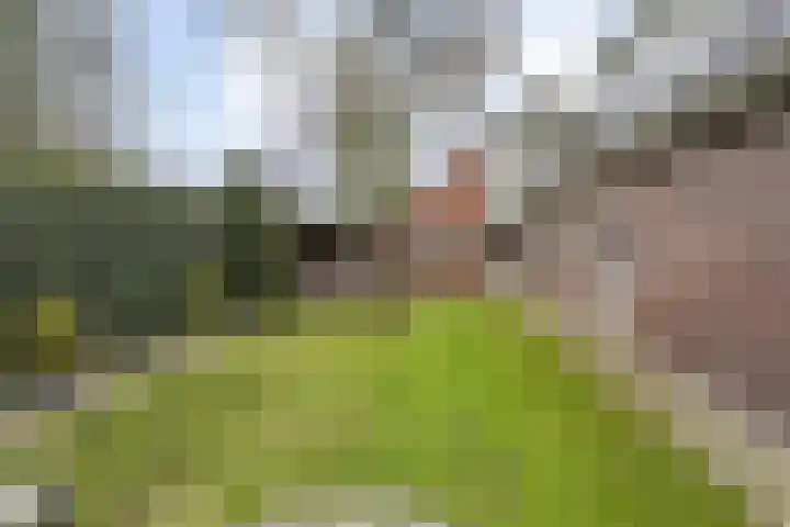 Braamskamp 13 Zuidwolde thumbnail 54