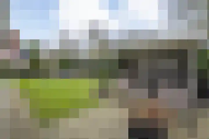 Braamskamp 13 Zuidwolde thumbnail 55