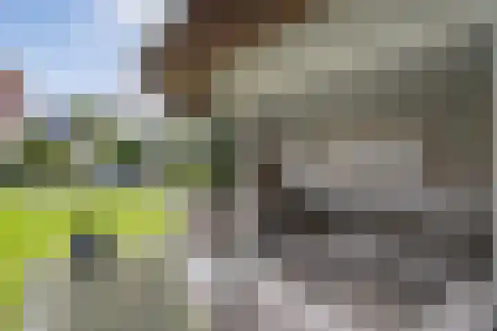 Braamskamp 13 Zuidwolde thumbnail 56