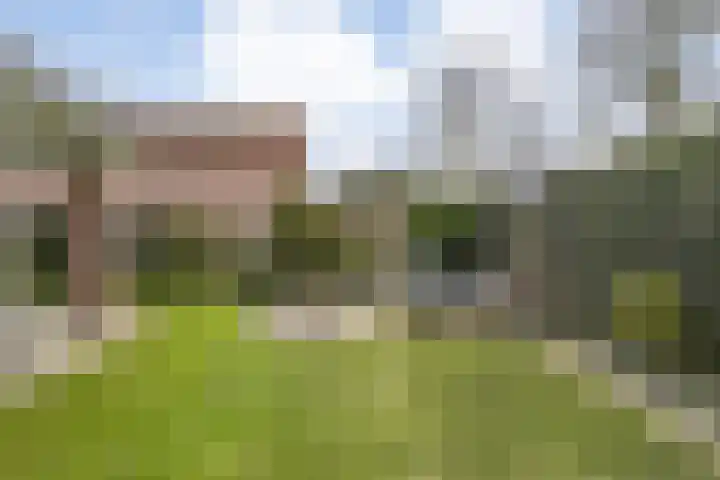 Braamskamp 13 Zuidwolde thumbnail 57