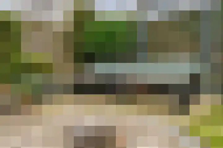 Braamskamp 13 Zuidwolde thumbnail 58