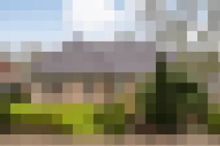Braamskamp 13 Zuidwolde thumbnail 59
