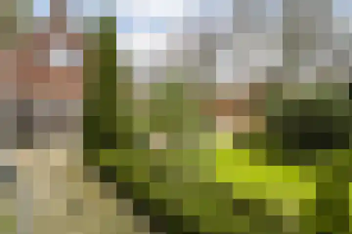 Braamskamp 13 Zuidwolde thumbnail 6