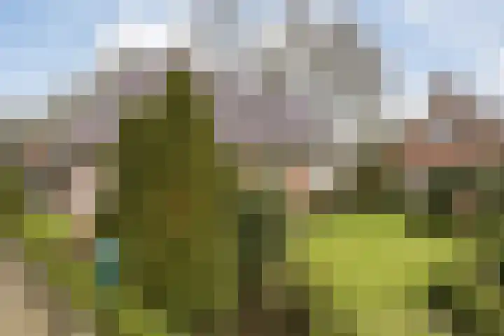 Braamskamp 13 Zuidwolde thumbnail 60