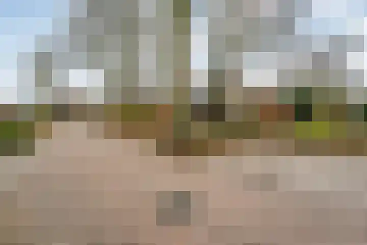 Braamskamp 13 Zuidwolde thumbnail 61