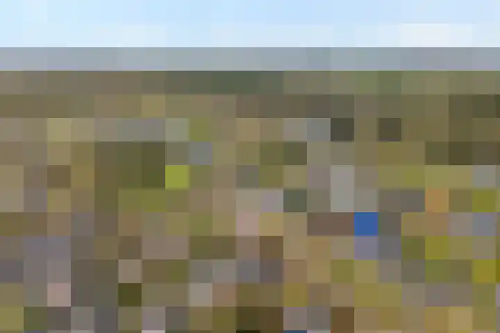 Braamskamp 13 Zuidwolde thumbnail 63
