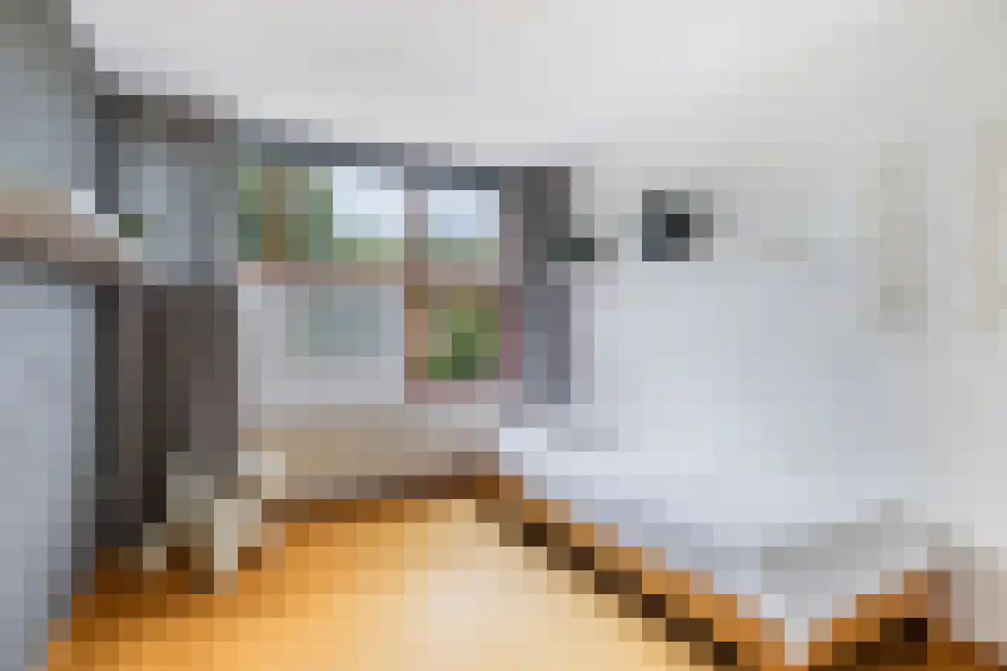 Braamsluiper 13 Nieuwegein thumbnail 14