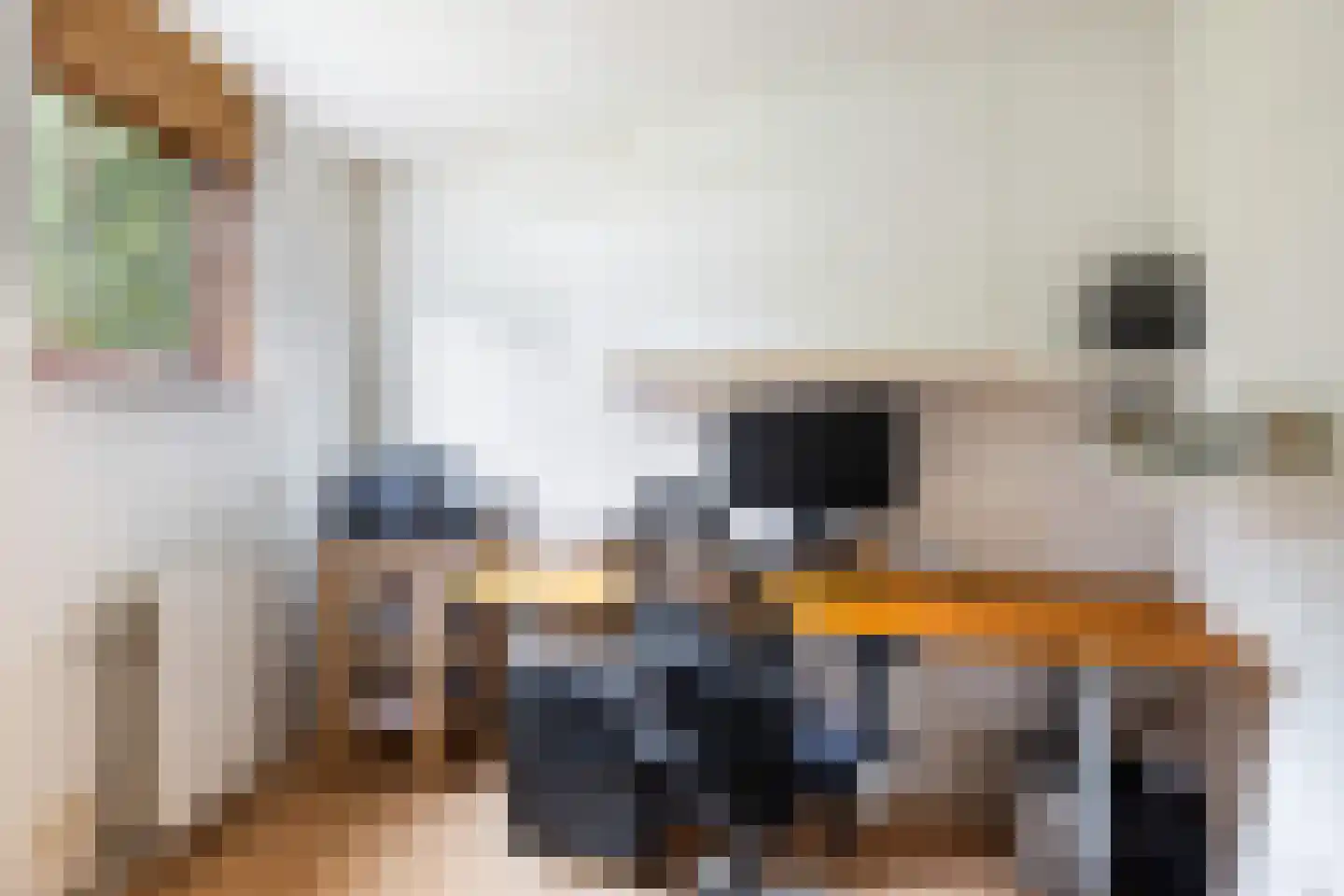 Braamsluiper 13 Nieuwegein thumbnail 24