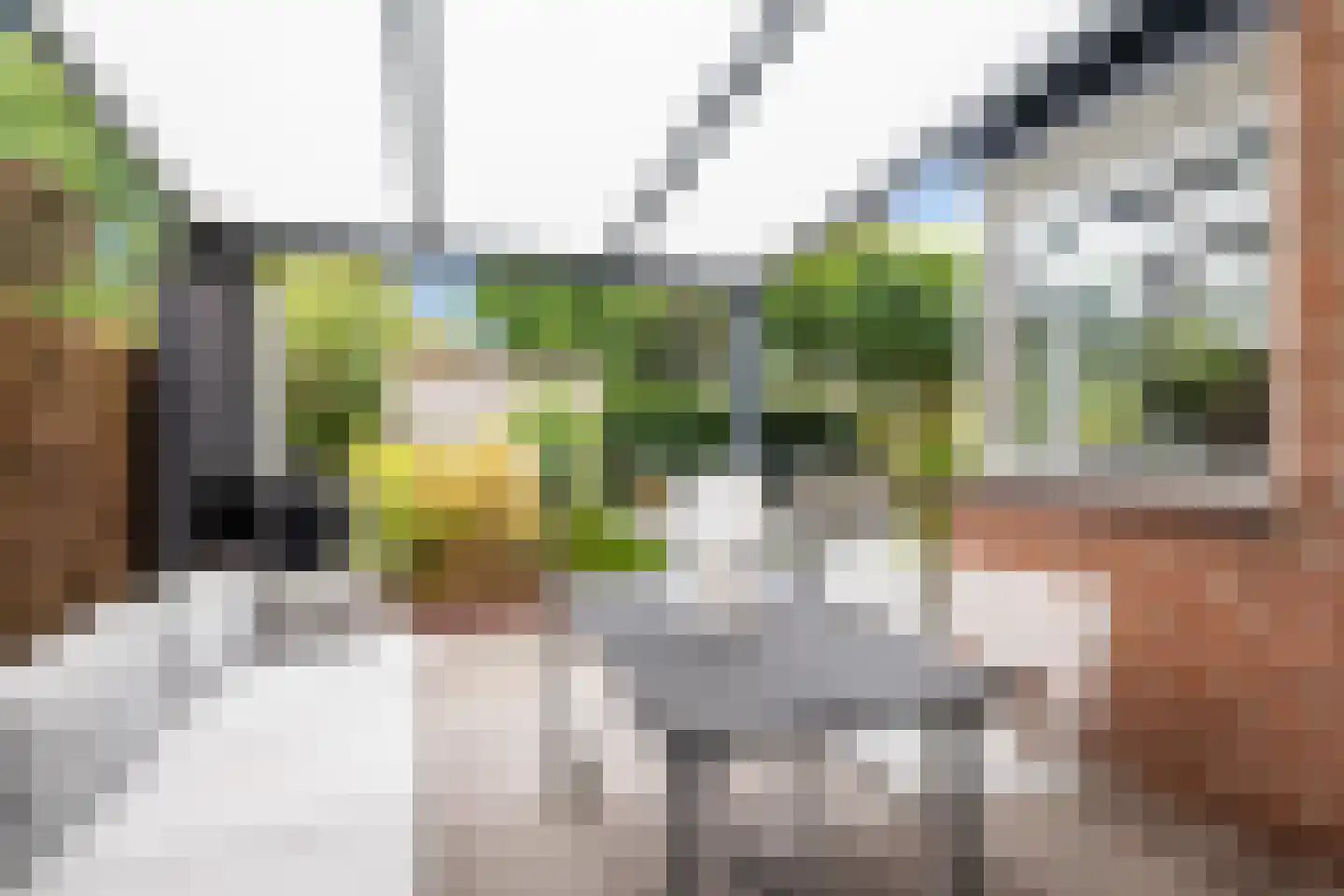 Braamsluiper 13 Nieuwegein thumbnail 29