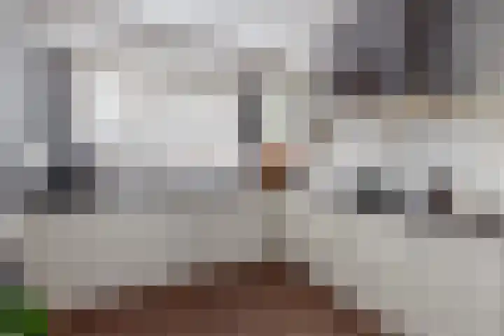 Braamsluiper 13 Olst thumbnail 13