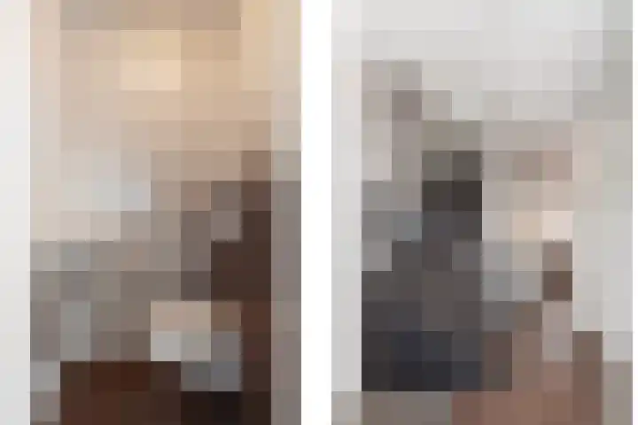 Braamsluiper 13 Olst thumbnail 15
