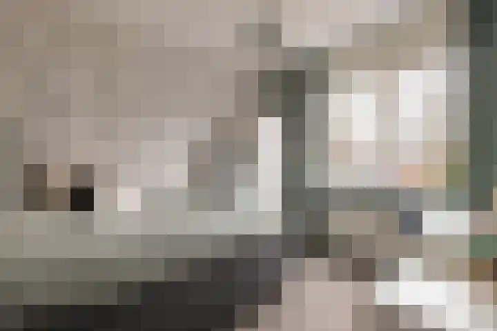 Braamsluiper 13 Olst thumbnail 19
