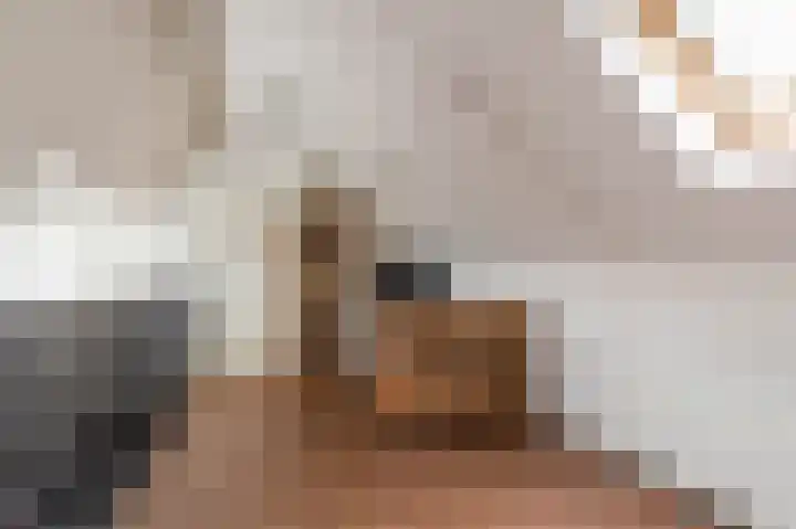 Braamsluiper 13 Olst thumbnail 24